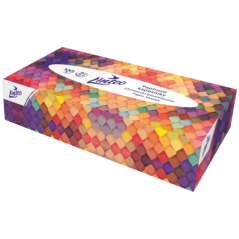 Linteo 2vrstvé papírové kapesníky, box 100 ks