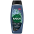 Radox Men Feel Energized 2v1 sprchový gel a šampon pro muže 450 ml