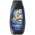 Schauma šampon proti lupům Anti-Dandruff Intense, 250 ml