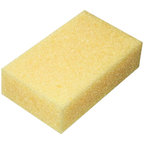 Houba tabulová 11 × 18 × 5 cm