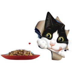 Felix Fantastic kapsičky pro kočky s kuřetem, hovězím, králíkem a jehněčím, 12 × 85 g