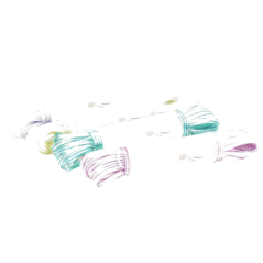 Niteola Classic šňůra na prádlo, 20 m